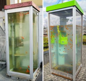 The ‘goldfish phone booth’ copyright case in Japan